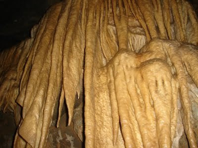 duhlata-1