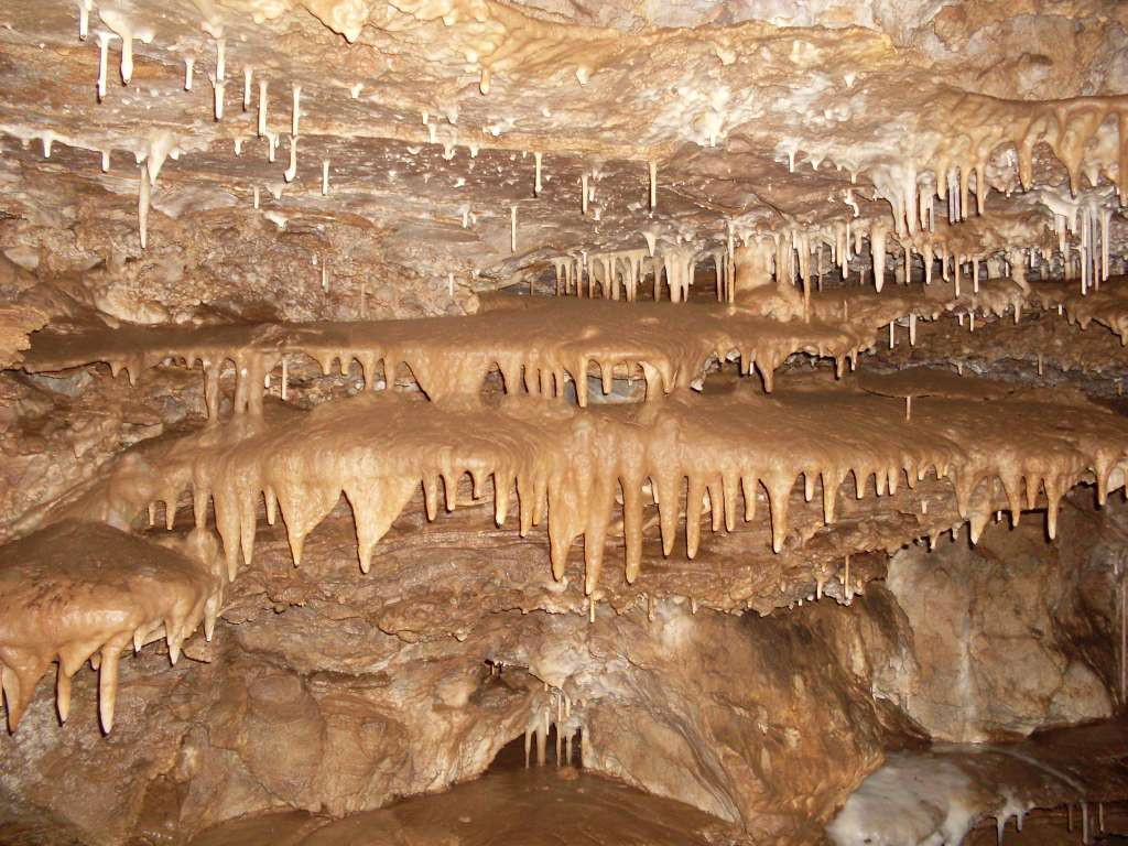 duhlata-4
